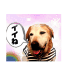 ターボっちゃま（個別スタンプ：39）