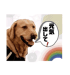 ターボっちゃま（個別スタンプ：40）