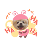 こむちゃんの使えるすたんぷ♡（個別スタンプ：1）
