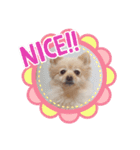 こむちゃんの使えるすたんぷ♡（個別スタンプ：3）