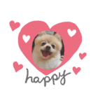 こむちゃんの使えるすたんぷ♡（個別スタンプ：6）