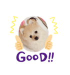 こむちゃんの使えるすたんぷ♡（個別スタンプ：7）
