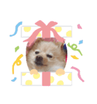 こむちゃんの使えるすたんぷ♡（個別スタンプ：15）
