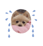 こむちゃんの使えるすたんぷ♡（個別スタンプ：16）