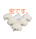 ふわふわぬいスタンプ vol.1（個別スタンプ：15）