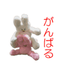 ふわふわぬいスタンプ vol.1（個別スタンプ：37）