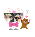 べっぴんブルドッグM＆G（個別スタンプ：3）