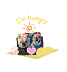 べっぴんブルドッグM＆G（個別スタンプ：11）