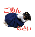 あおぞらびより（個別スタンプ：30）