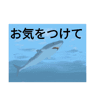 デジタル油絵で作ったスタンプ 増補版（個別スタンプ：13）