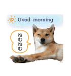 きいとゆめの日常（個別スタンプ：1）