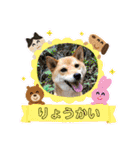 きいとゆめの日常（個別スタンプ：3）