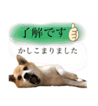 きいとゆめの日常（個別スタンプ：4）