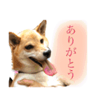 きいとゆめの日常（個別スタンプ：5）