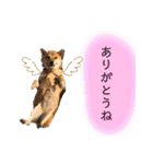 きいとゆめの日常（個別スタンプ：6）