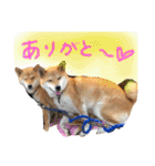 きいとゆめの日常（個別スタンプ：7）