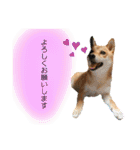 きいとゆめの日常（個別スタンプ：8）
