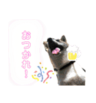 きいとゆめの日常（個別スタンプ：9）