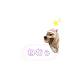 きいとゆめの日常（個別スタンプ：13）