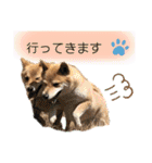 きいとゆめの日常（個別スタンプ：18）