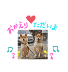 きいとゆめの日常（個別スタンプ：19）