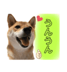 きいとゆめの日常（個別スタンプ：21）