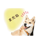 きいとゆめの日常（個別スタンプ：23）