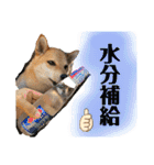 きいとゆめの日常（個別スタンプ：25）