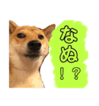 きいとゆめの日常（個別スタンプ：27）