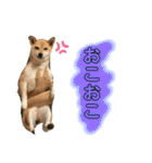 きいとゆめの日常（個別スタンプ：29）