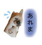 きいとゆめの日常（個別スタンプ：31）