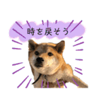 きいとゆめの日常（個別スタンプ：32）
