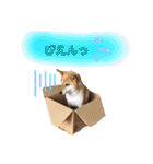 きいとゆめの日常（個別スタンプ：35）