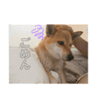 きいとゆめの日常（個別スタンプ：37）