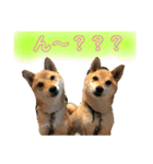 きいとゆめの日常（個別スタンプ：40）