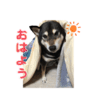 表情豊かなベルちゃん（個別スタンプ：6）