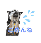 表情豊かなベルちゃん（個別スタンプ：11）