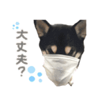 表情豊かなベルちゃん（個別スタンプ：14）