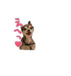 NATSUO TMI♥️（個別スタンプ：1）