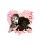 NATSUO TMI♥️（個別スタンプ：2）