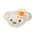 のんシロクマさん（個別スタンプ：13）