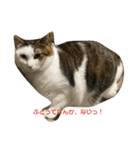 おちこすたんぷ。（個別スタンプ：3）