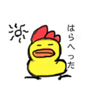 むくれこっこ2（個別スタンプ：11）