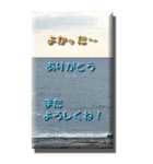 海が好きな人に！海の写真BIGスタンプ40個（個別スタンプ：15）