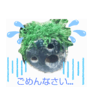 moti_aquariumのスタンプ（個別スタンプ：7）