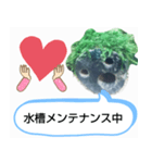 moti_aquariumのスタンプ（個別スタンプ：16）