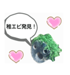 moti_aquariumのスタンプ（個別スタンプ：21）