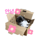 まんじゅうちゃんスタンプ（個別スタンプ：14）
