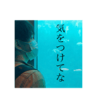 翔太くんとなつ②（個別スタンプ：12）