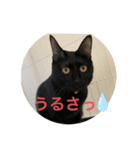 長女 にぼし（個別スタンプ：2）